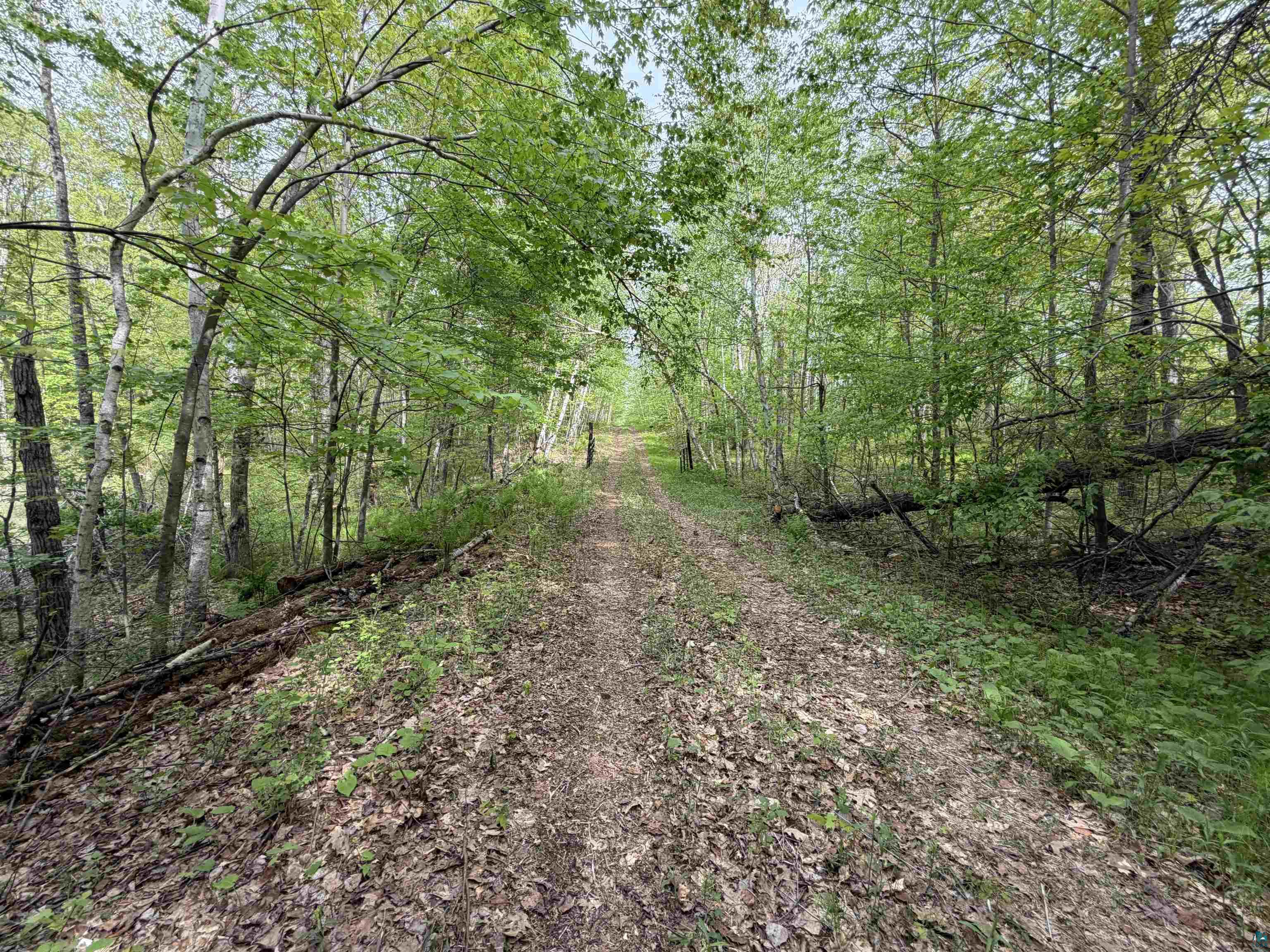 Lot 4 Peterson Road Minong, WI 54859 - Photo 6 of 7