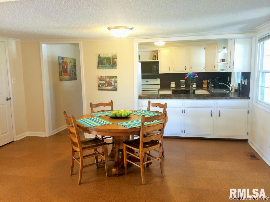 913 Rutledge Street Pawnee, IL 62558 - Photo 14 of 27