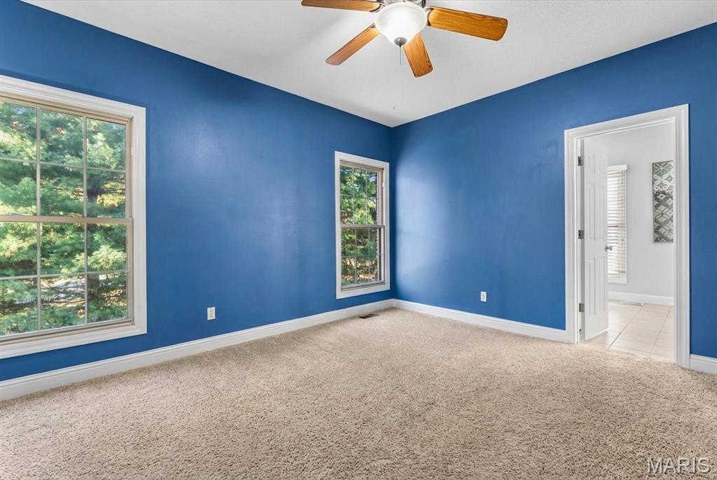 166 Berringer Drive O'Fallon, IL 62269 - Photo 28 of 53