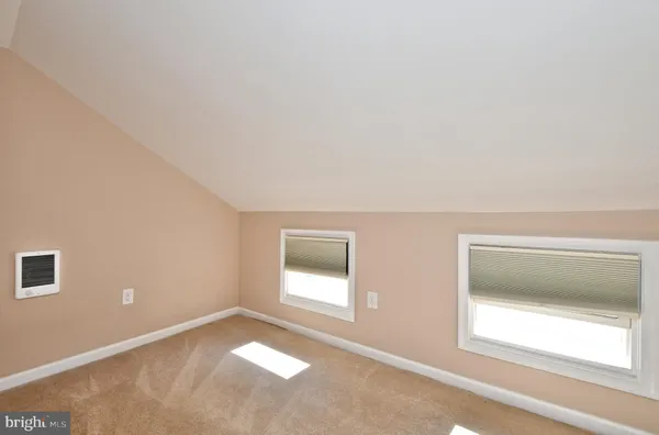 a view of a backyard with plants