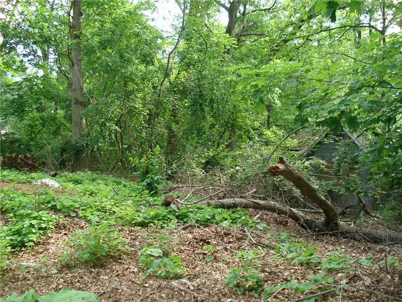 26 Range Road, Unit 32B13 Rowayton, CT 06853 - Photo 3 of 7 a view of a lush green forest
