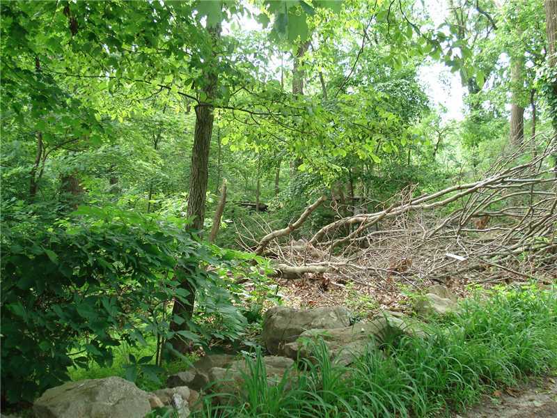 26 Range Road, Unit 32B13 Rowayton, CT 06853 - Photo 7 of 7 a view of a yard with a tree