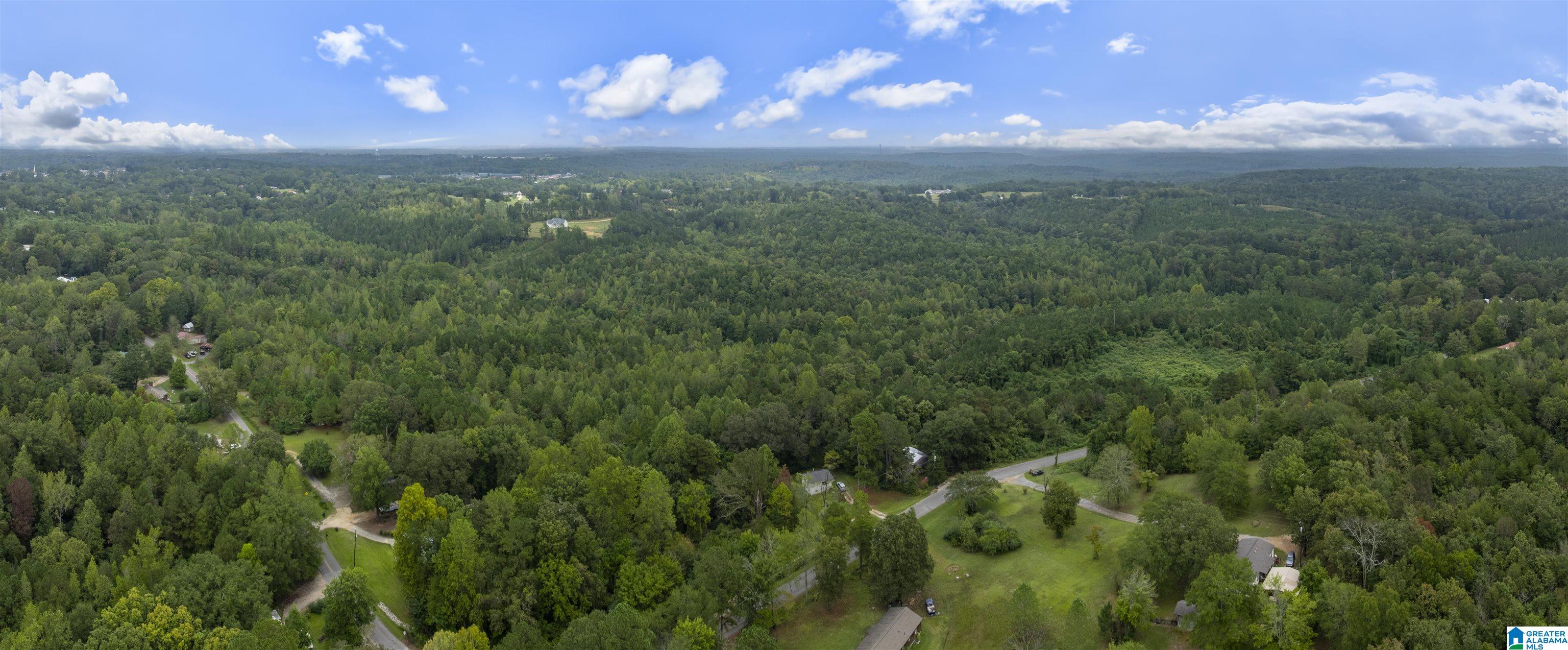 0 Beech Grove Road, Unit 1 Haleyville, AL 35565 - Photo 8 of 12