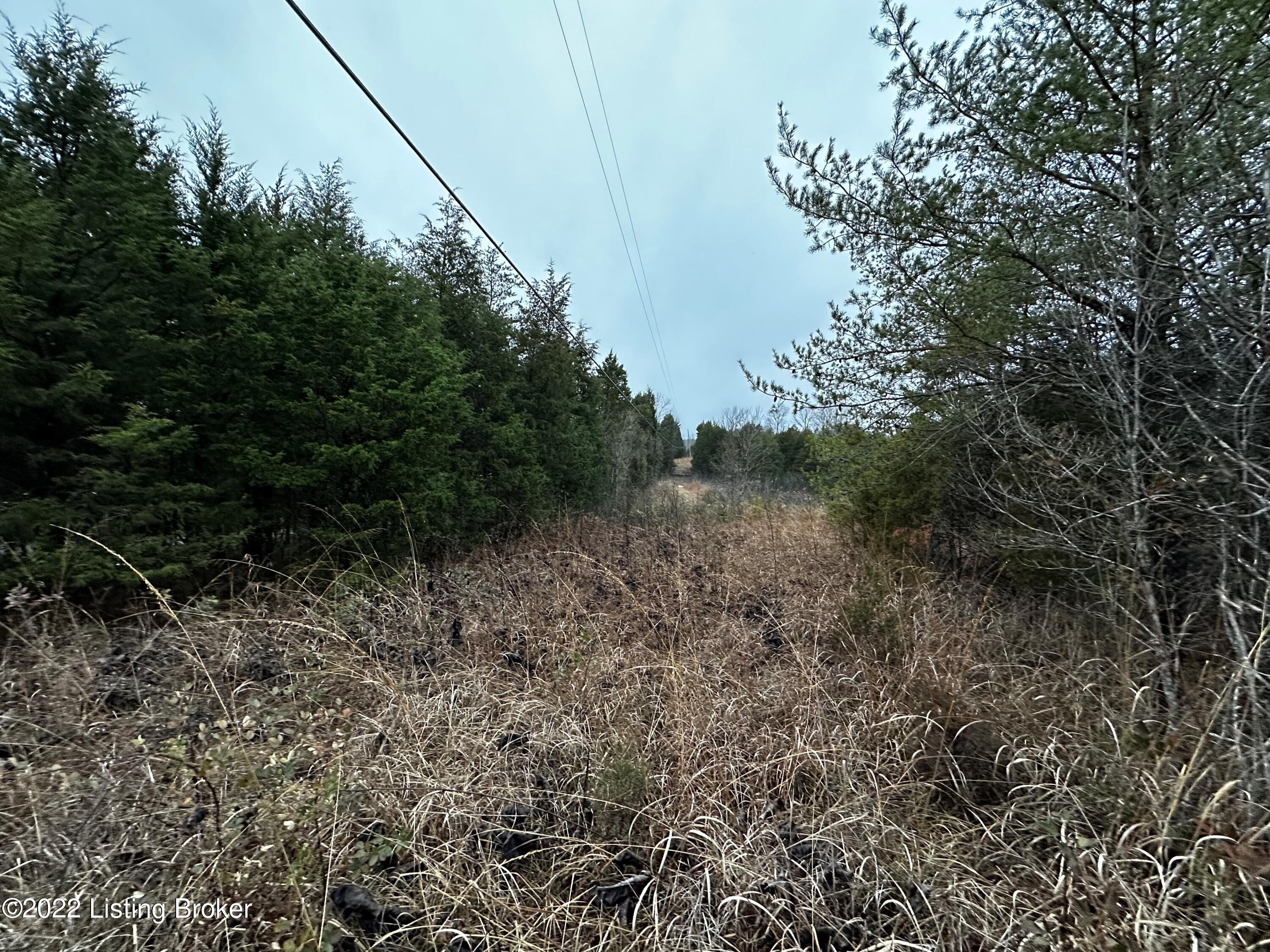 0 Mt Carmel Church Road Lebanon Junction, KY 40150 - Photo 8 of 11 8