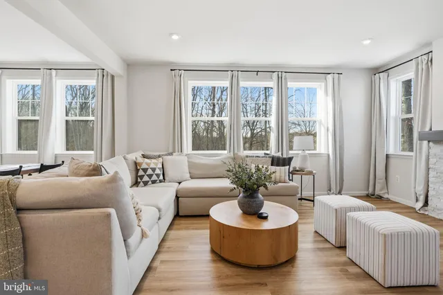 a living room with furniture potted plant and a fireplace