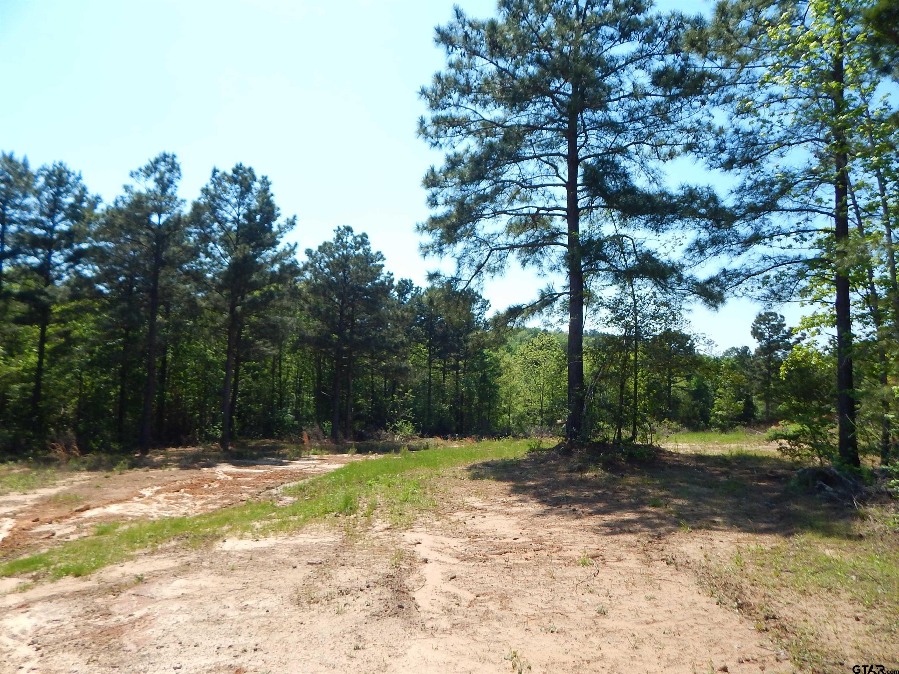15 Acres Fm 1795 Big Sandy, TX 75755 - Photo 14 of 15