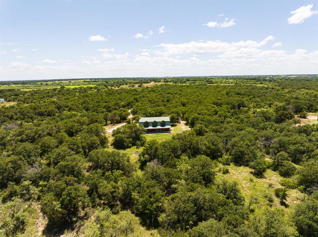 1992 County Road 330 Ranger, TX 76470 - Photo 40 of 40 a view of a green field with lots of bushes