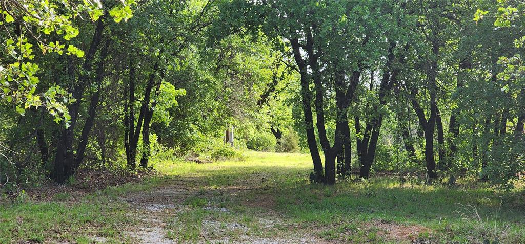1992 County Road 330 Ranger, TX 76470 - Photo 6 of 40 a view of outdoor space and trees