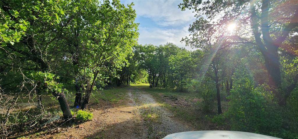 1992 County Road 330 Ranger, TX 76470 - Photo 7 of 40 a view of a yard