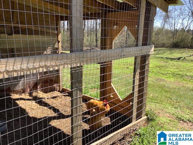 16058 Highway 11 Springville, AL 35146 - Photo 5 of 36
