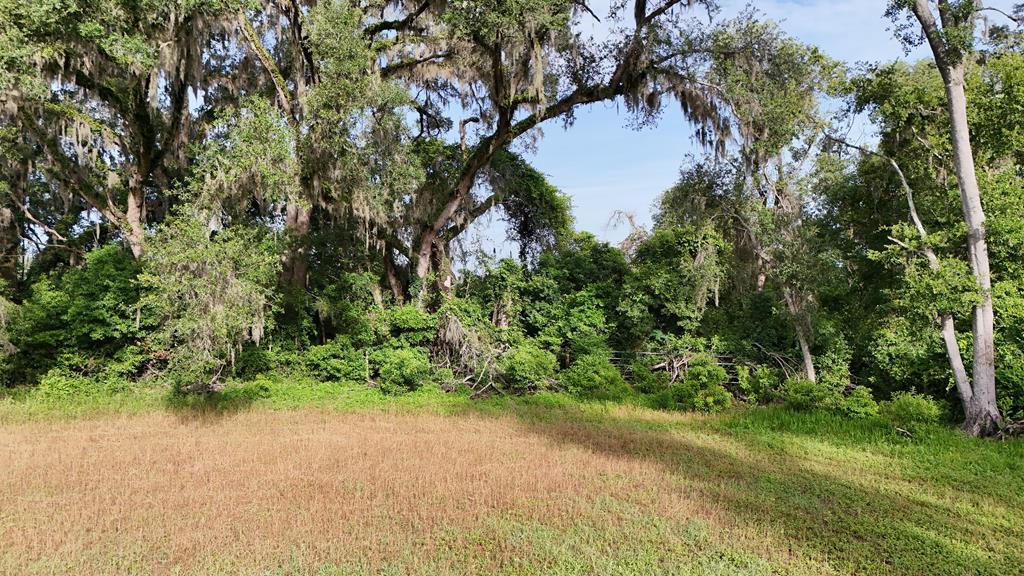 Vacant 145th Road Live Oak, FL 32060 - Photo 16 of 42