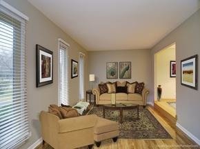 467 Sheffield Road Naperville, IL 60565 - Photo 3 of 19 a living room with furniture and a rug