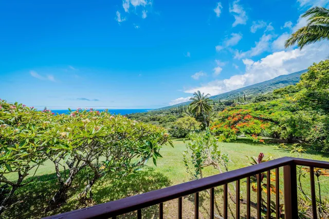 a big yard with lots of green space and house in the back