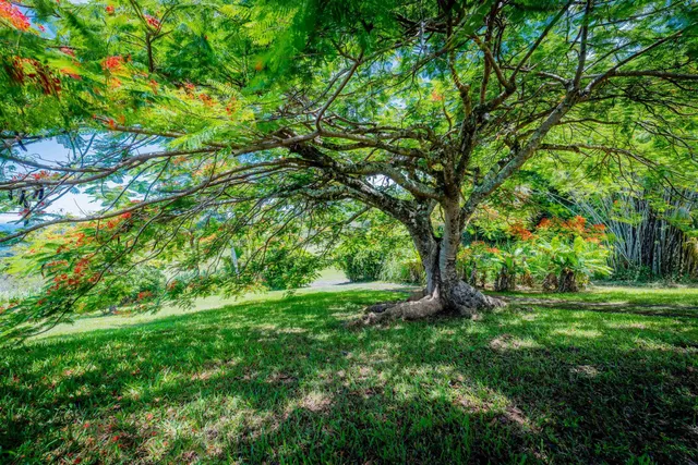 a view of a chairs and table in the balcony