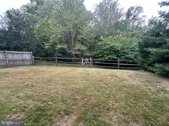 a backyard of a house with plants and large trees