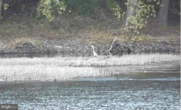 Island Dam Clear Spring, MD 21722 - Photo 24 of 26 View