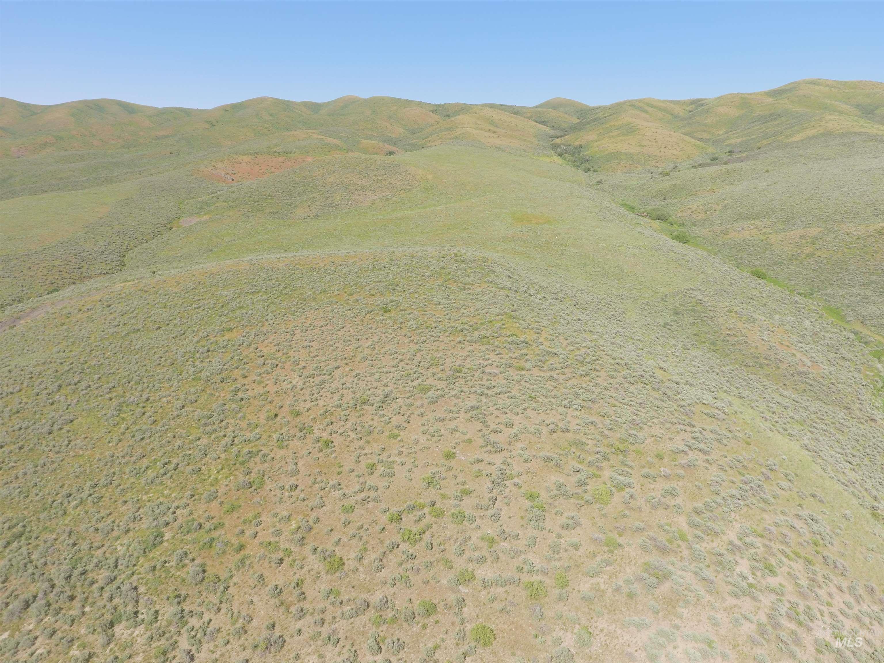 Sublette Sublette Grazing Malta, ID 83342 - Photo 10 of 13