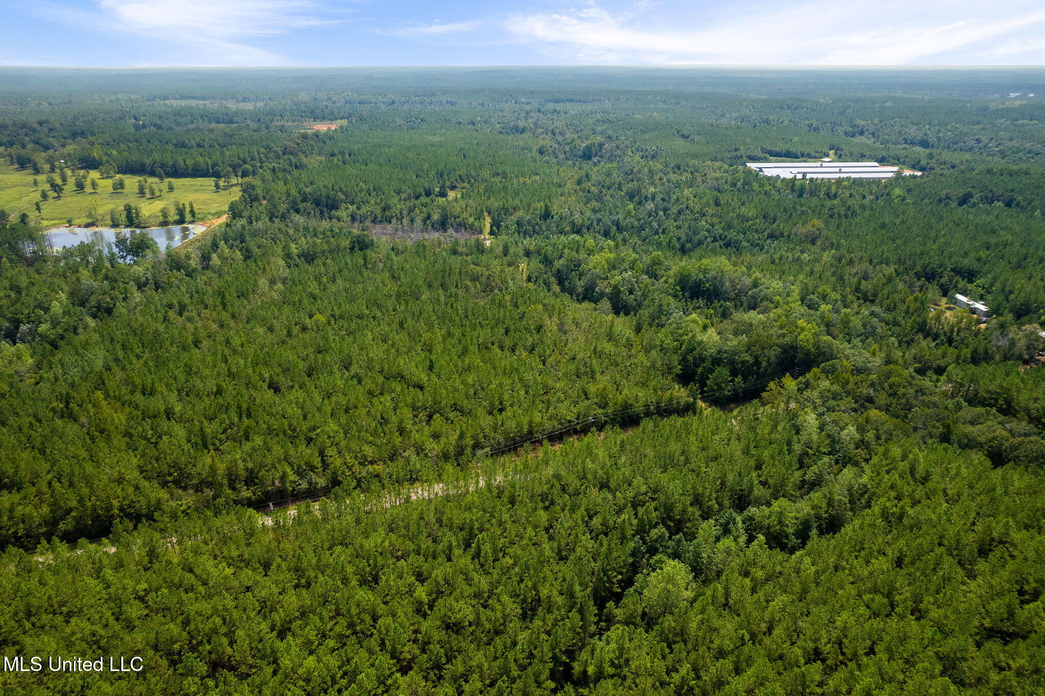 0 Rockhill To Lumberton Road Purvis, MS 39475 - Photo 23 of 46 Rockhill_To_Lumberton_Road-23