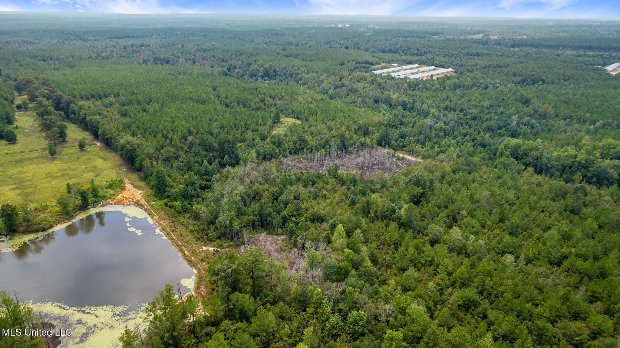 0 Rockhill To Lumberton Road Purvis, MS 39475 - Photo 25 of 46 Rockhill_To_Lumberton_Road-25