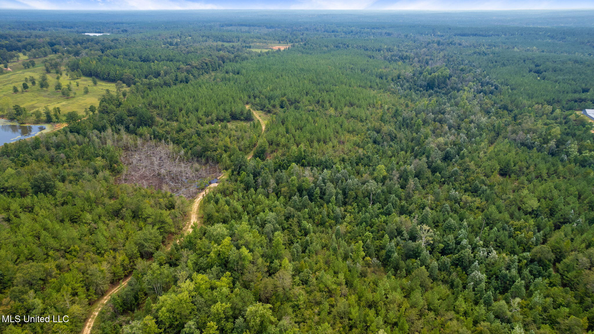 0 Rockhill To Lumberton Road Purvis, MS 39475 - Photo 26 of 46 Rockhill_To_Lumberton_Road-26