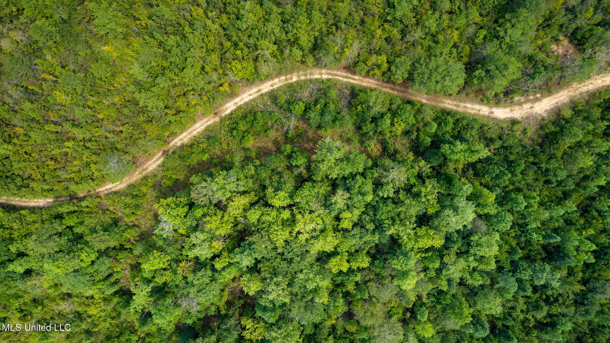 0 Rockhill To Lumberton Road Purvis, MS 39475 - Photo 27 of 46 Rockhill_To_Lumberton_Road-27