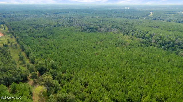 $1,149,000 | 0 Rockhill To Lumberton Road, Purvis, MS 39475