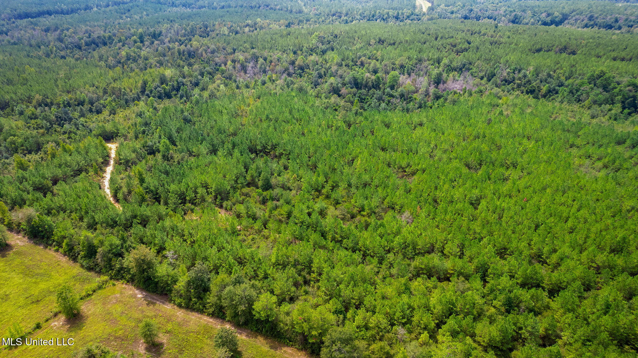 0 Rockhill To Lumberton Road Purvis, MS 39475 - Photo 30 of 46 Rockhill_To_Lumberton_Road-30