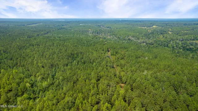 $1,149,000 | 0 Rockhill To Lumberton Road, Purvis, MS 39475