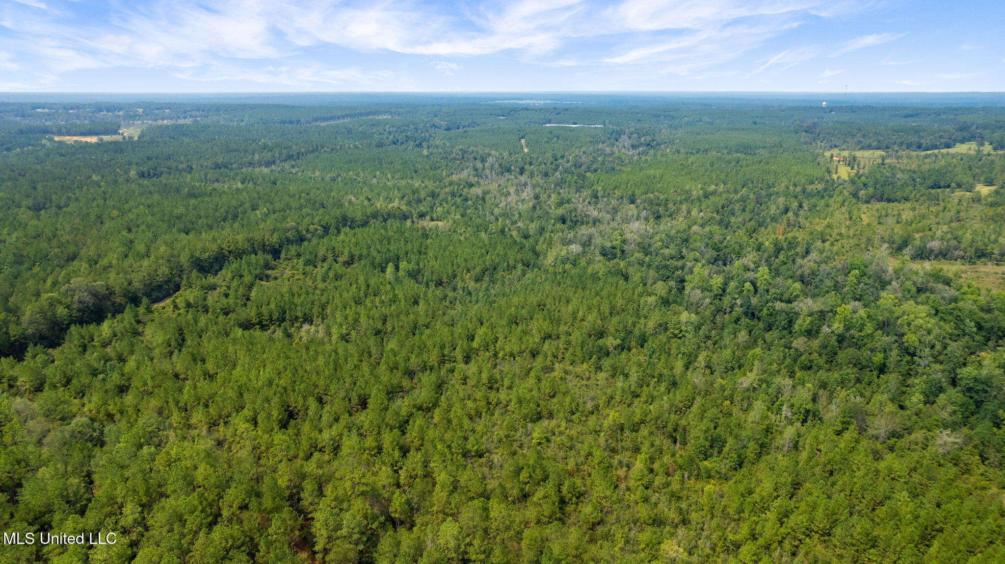 0 Rockhill To Lumberton Road Purvis, MS 39475 - Photo 37 of 46 Rockhill_To_Lumberton_Road-37