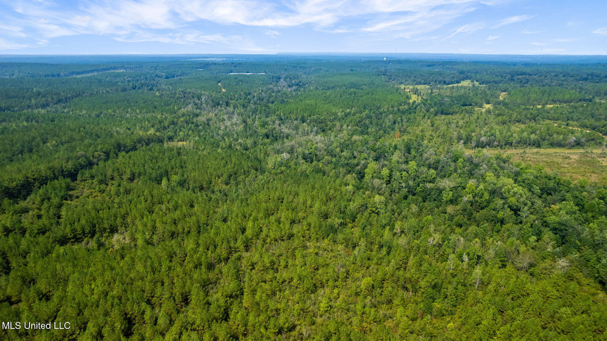 0 Rockhill To Lumberton Road Purvis, MS 39475 - Photo 38 of 46 Rockhill_To_Lumberton_Road-38