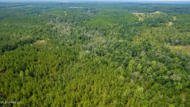 $1,149,000 | 0 Rockhill To Lumberton Road, Purvis, MS 39475