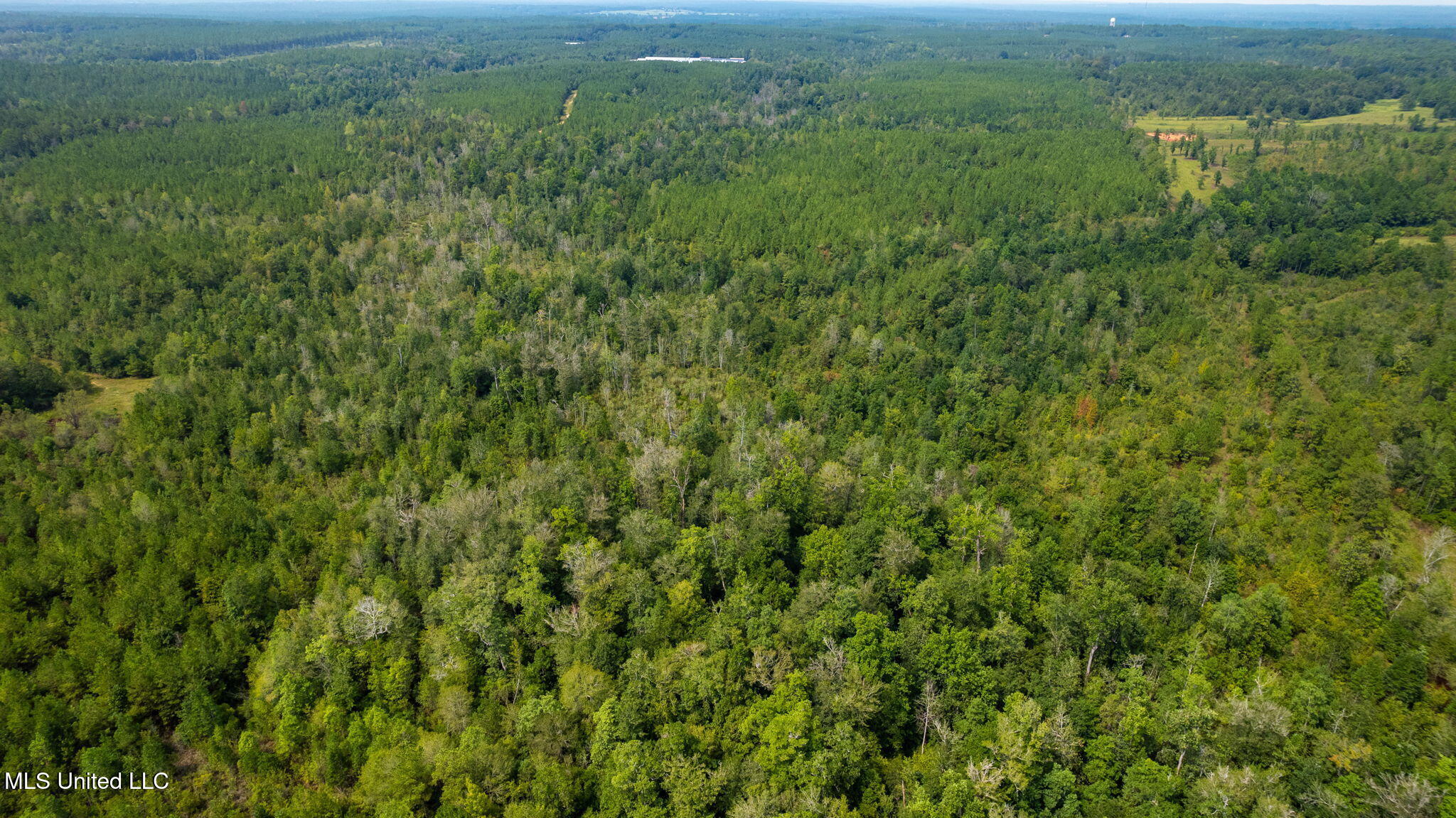 0 Rockhill To Lumberton Road Purvis, MS 39475 - Photo 40 of 46 Rockhill_To_Lumberton_Road-40
