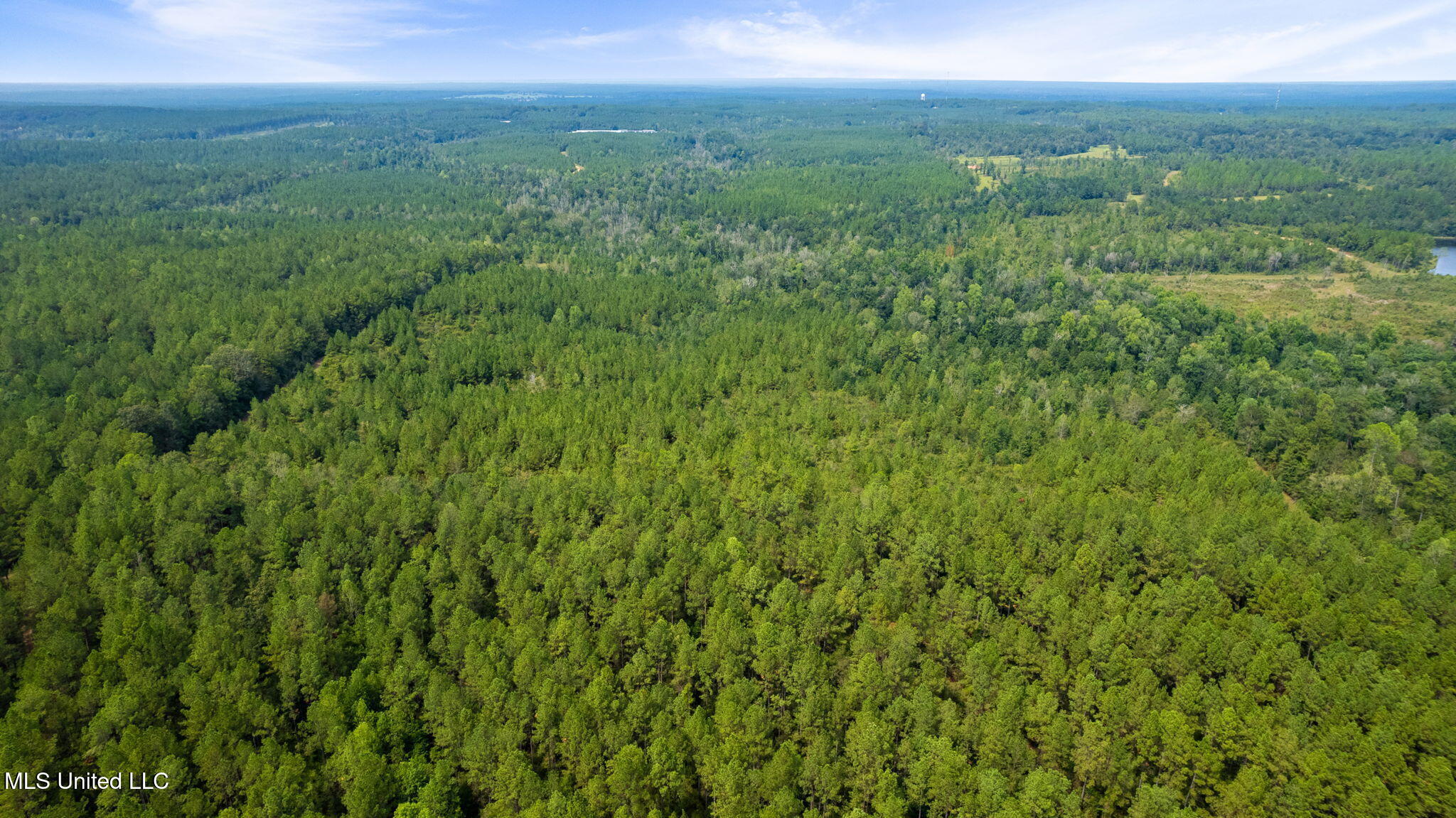0 Rockhill To Lumberton Road Purvis, MS 39475 - Photo 4 of 46 Rockhill_To_Lumberton_Road-4