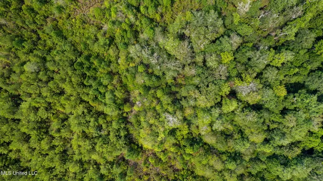 $1,149,000 | 0 Rockhill To Lumberton Road, Purvis, MS 39475