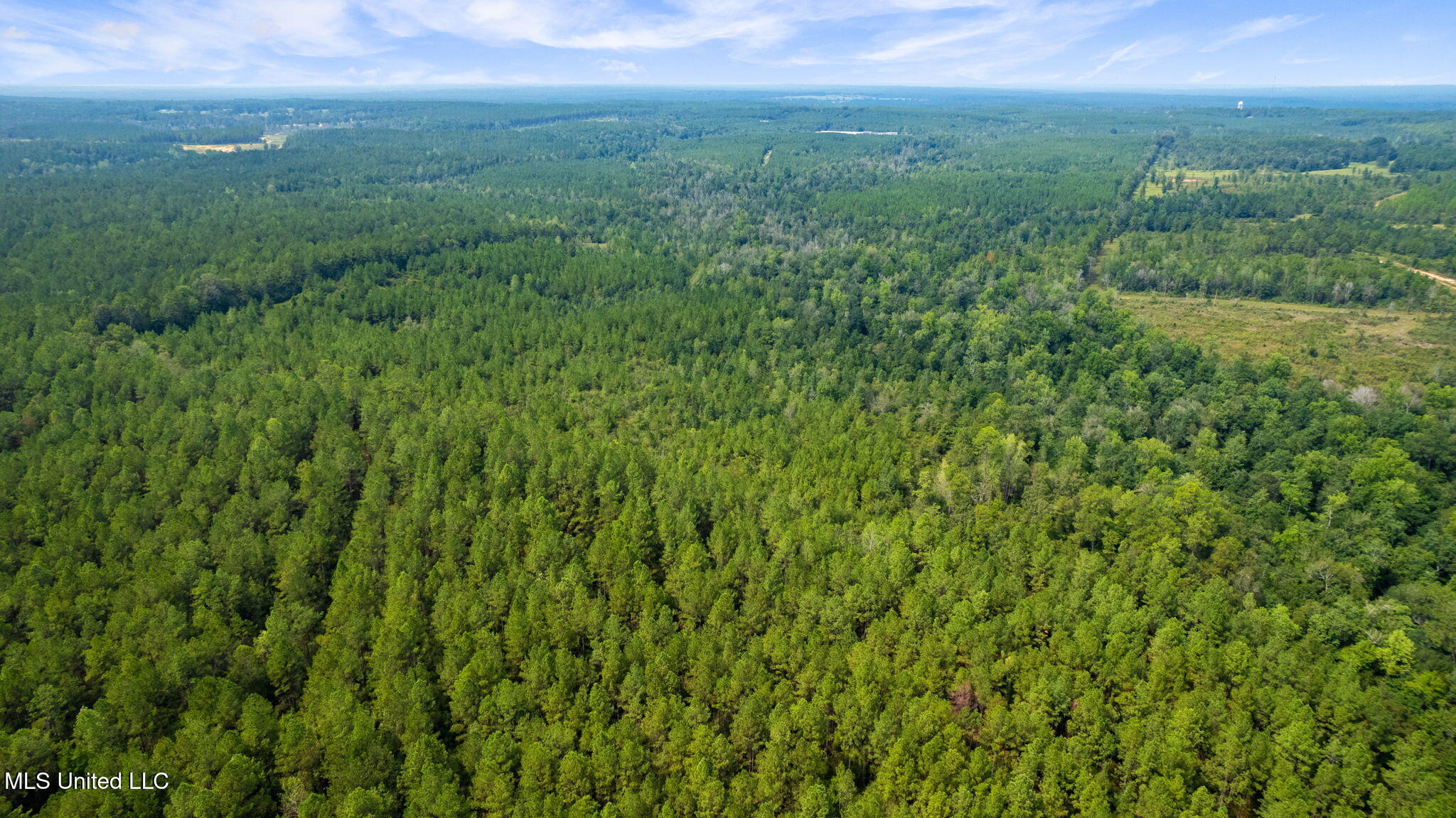 0 Rockhill To Lumberton Road Purvis, MS 39475 - Photo 45 of 46 Rockhill_To_Lumberton_Road-45