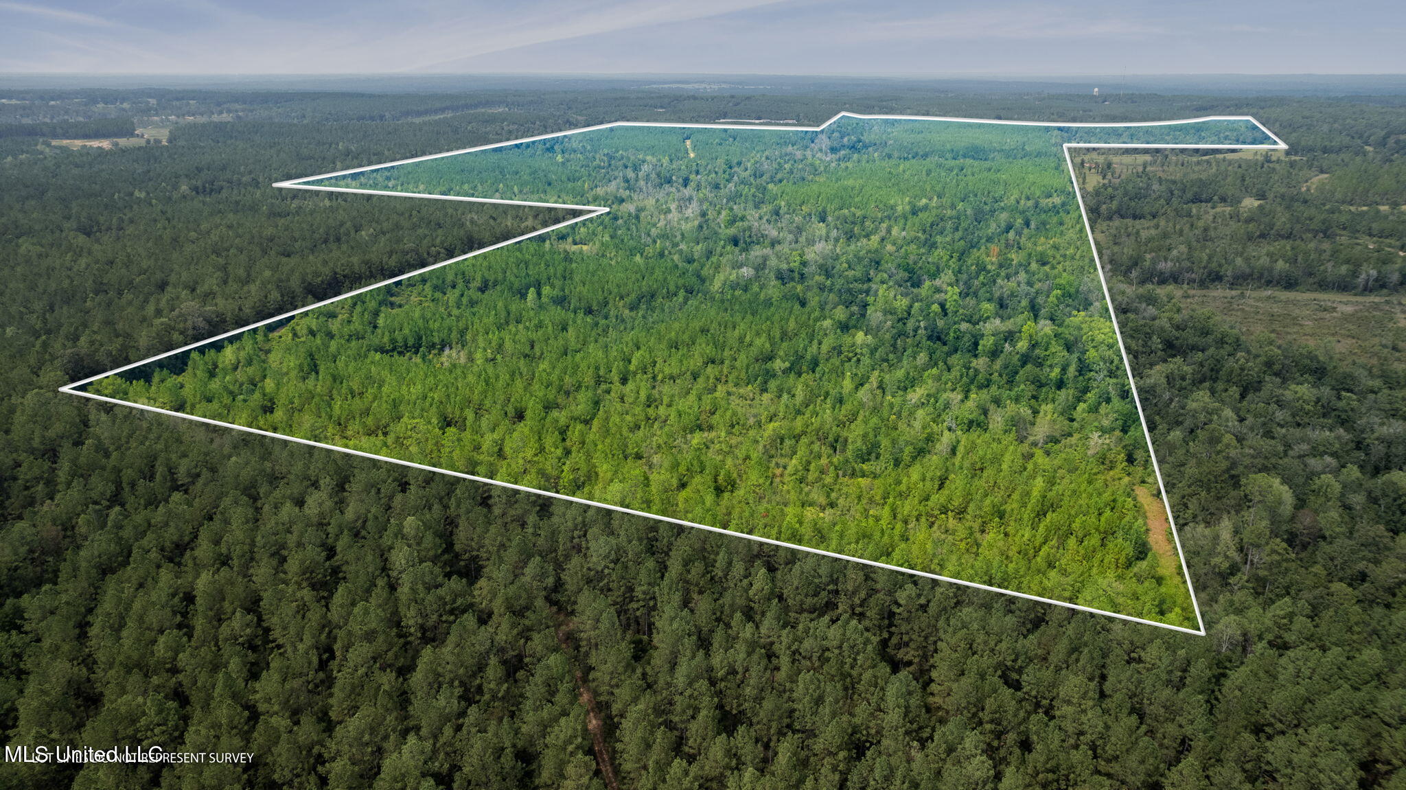 0 Rockhill To Lumberton Road Purvis, MS 39475 - Photo 5 of 46 Rockhill_To_Lumberton_Road-5