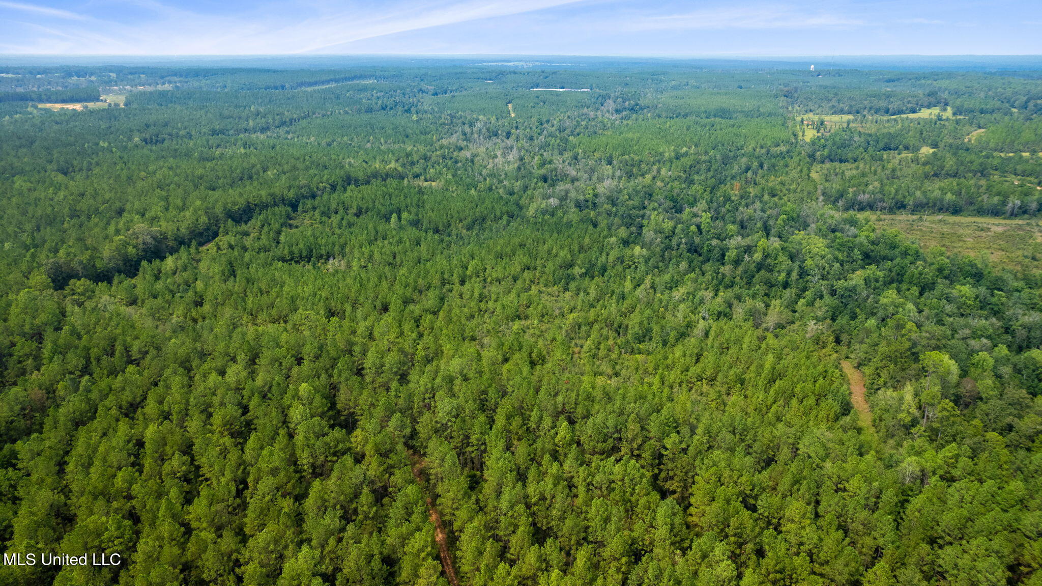 0 Rockhill To Lumberton Road Purvis, MS 39475 - Photo 6 of 46 Rockhill_To_Lumberton_Road-6