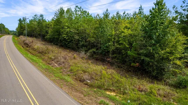 $1,149,000 | 0 Rockhill To Lumberton Road, Purvis, MS 39475
