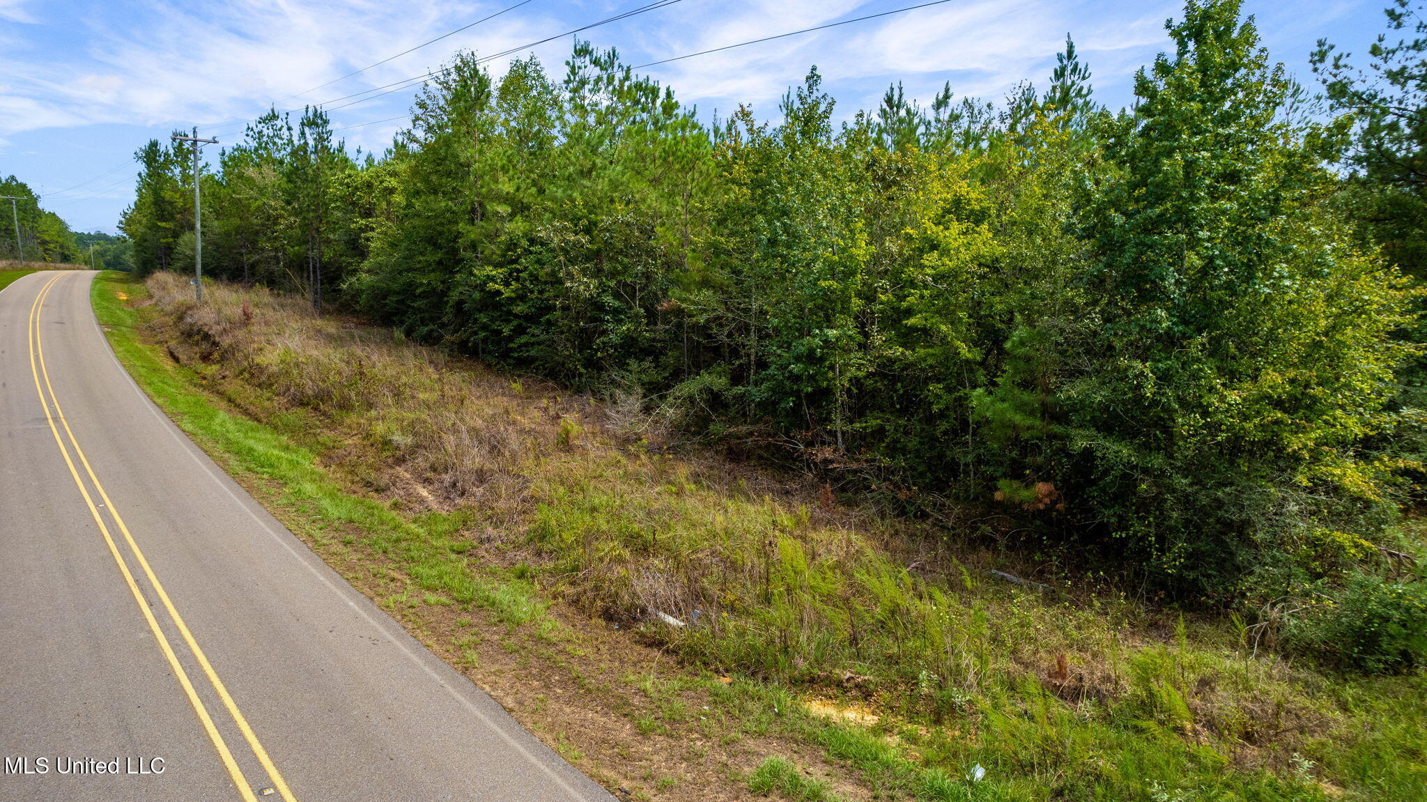 0 Rockhill To Lumberton Road Purvis, MS 39475 - Photo 8 of 46 Rockhill_To_Lumberton_Road-8