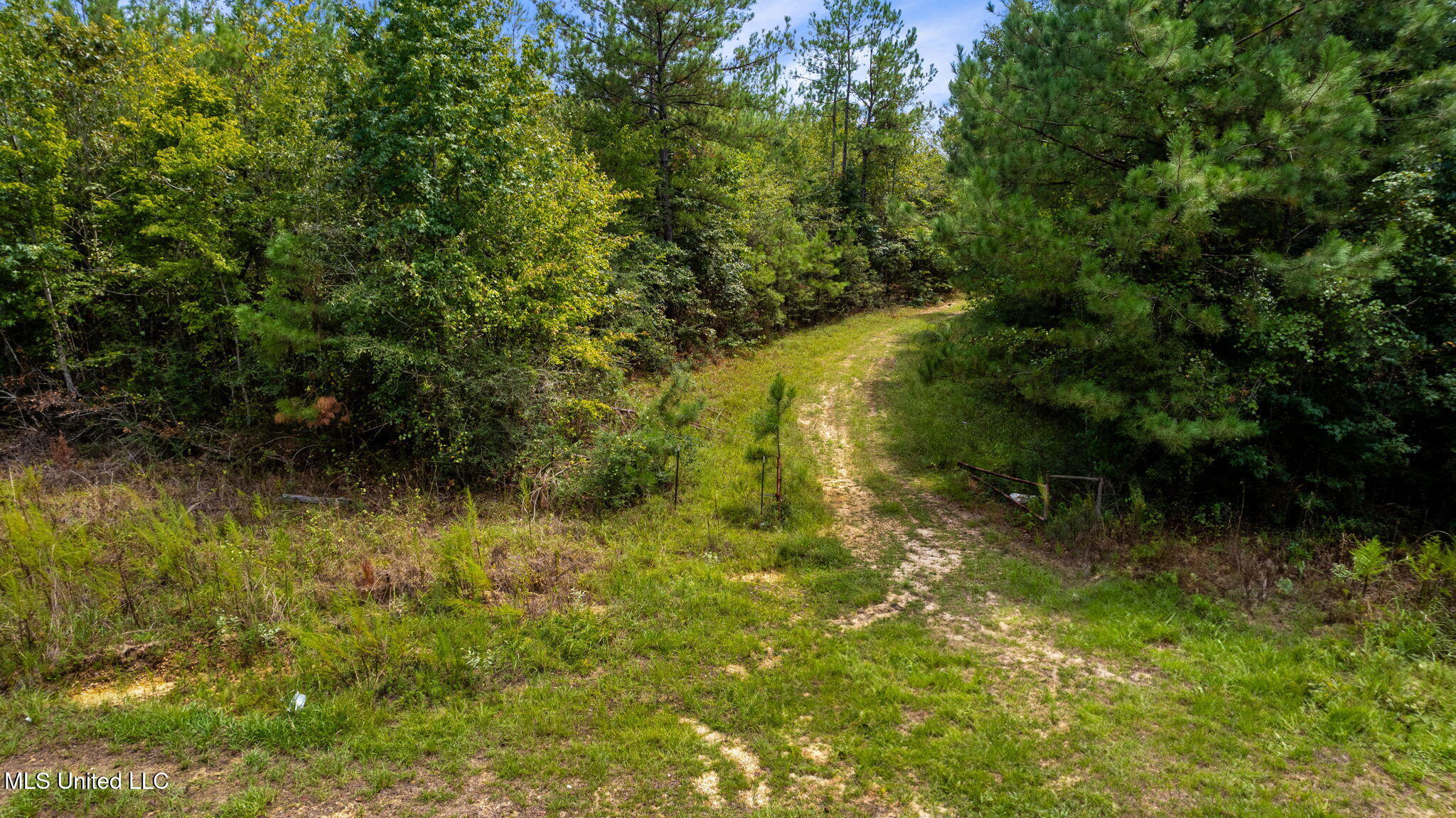 0 Rockhill To Lumberton Road Purvis, MS 39475 - Photo 9 of 46 Rockhill_To_Lumberton_Road-9
