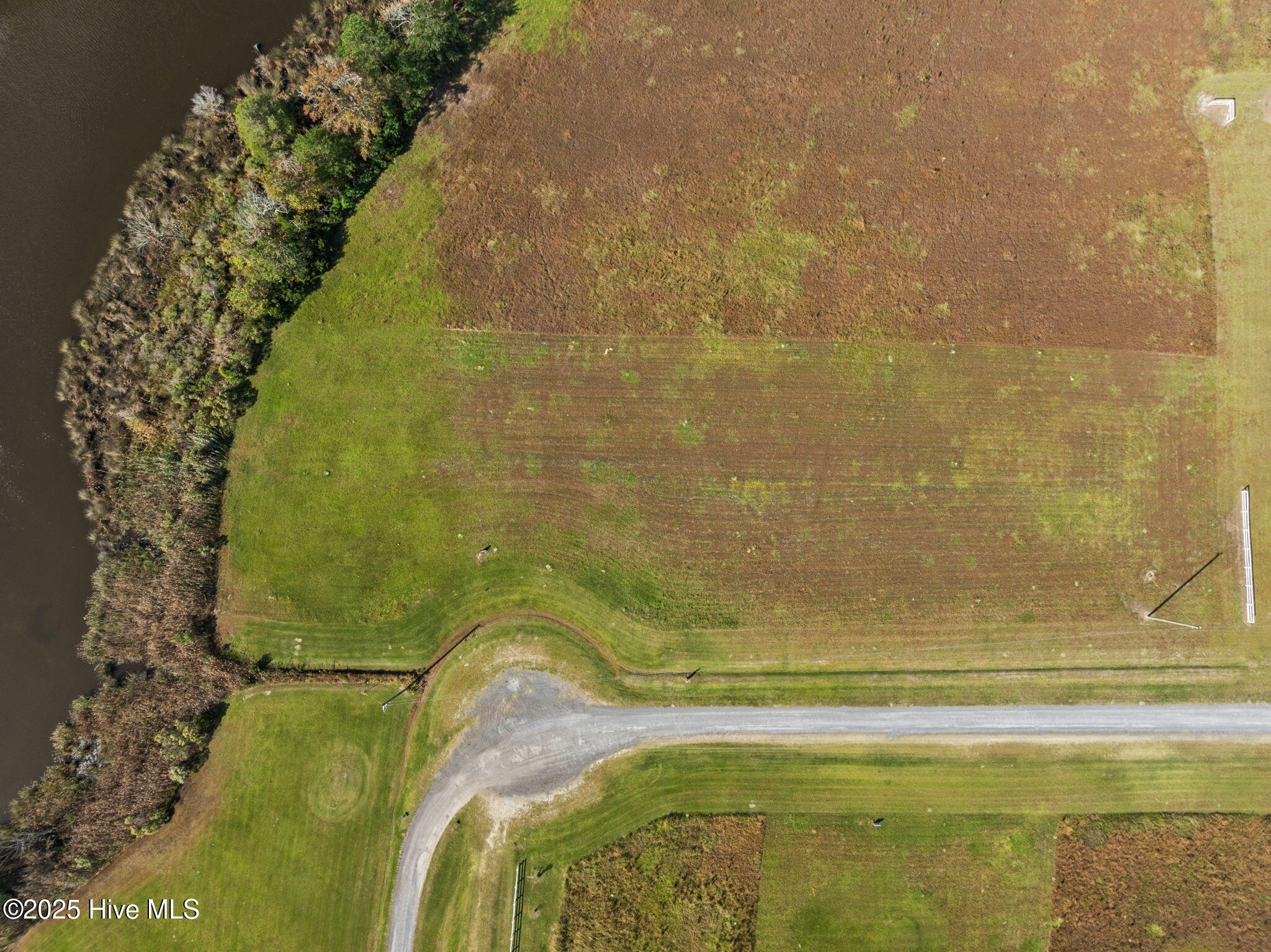 Lot 77 Dallas Paul Road Belhaven, NC 27810 - Photo 13 of 16 12-web-or-mls-DJI_0793