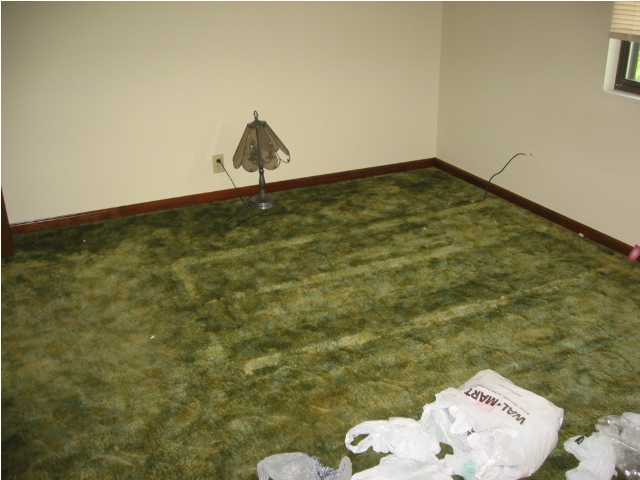 237 Eagle Pass Radcliff, KY 40160 - Photo 6 of 7 Additional Photo