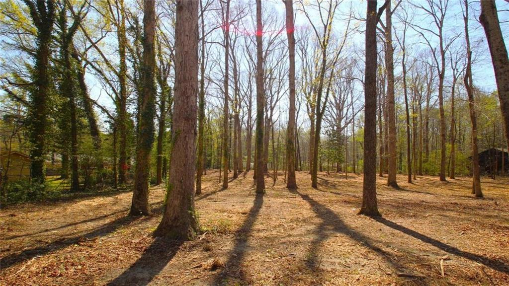 5572 Lilburn Stone Mountain Road Stone Mountain, GA 30087 - Photo 26 of 63