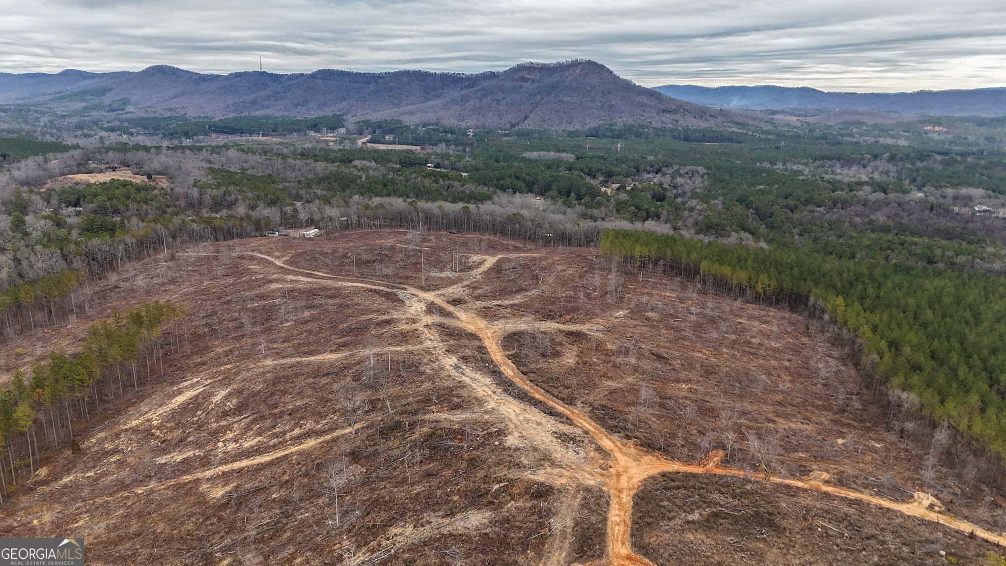 557 Acres On Taliaferro Springs Road Lyerly, GA 30730 - Photo 2 of 14 a view of a lush green hillside and a houses