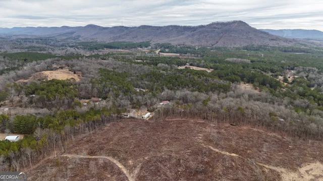 an aerial view of residential house and green space