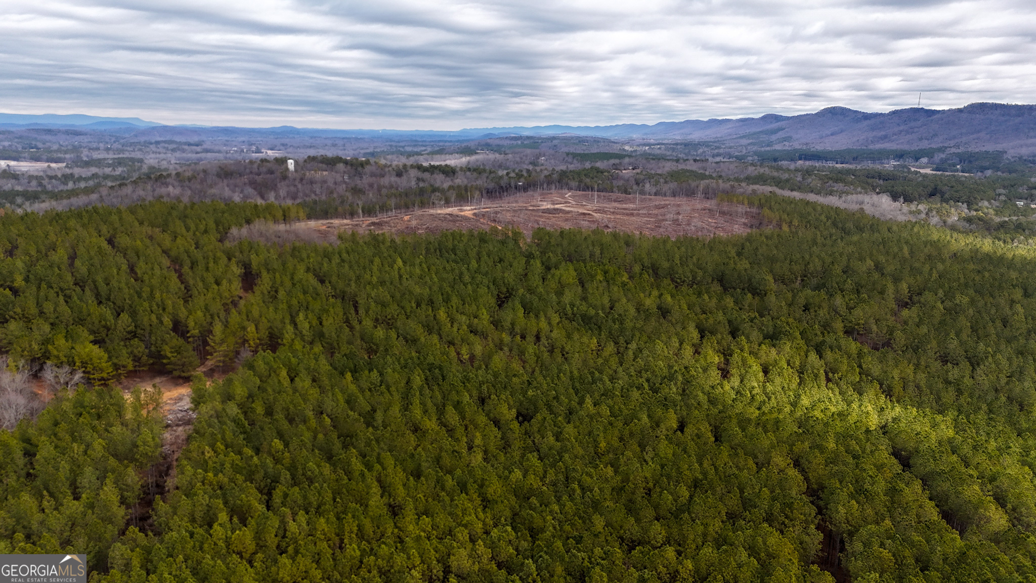 557 Acres On Taliaferro Springs Road Lyerly, GA 30730 - Photo 6 of 14 a view of a lush green forest with a lake