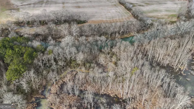 a view of a dry yard