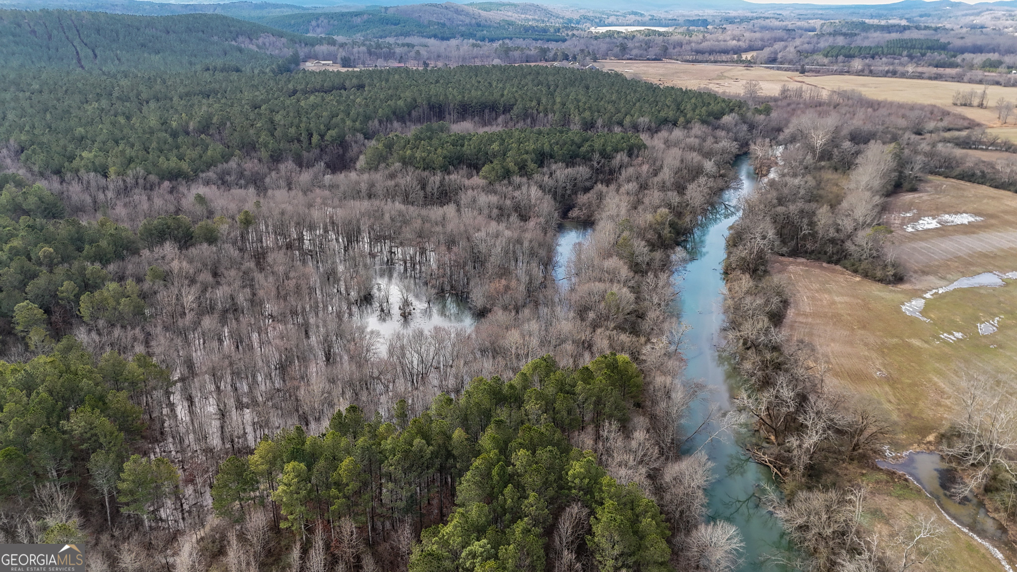 557 Acres On Taliaferro Springs Road Lyerly, GA 30730 - Photo 10 of 14 a view of a field of grass and trees