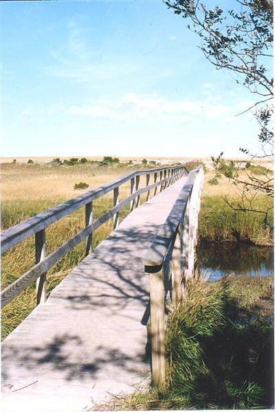 Undisclosed Address Orleans, MA 02653 - Photo 8 of 9 a view of lake
