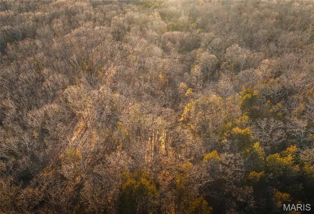 $350,000 | 0 US Highway 63, Vichy, MO 65580